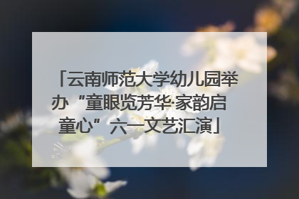 云南师范大学幼儿园举办“童眼览芳华·家韵启童心”六一文艺汇演