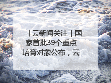云新闻关注｜国家首批39个重点培育对象公布，云南有3个