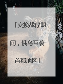 交换战俘期间，俄乌互袭首都地区