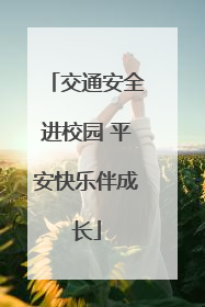 交通安全进校园 平安快乐伴成长