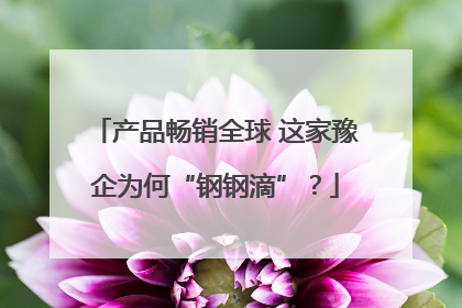 产品畅销全球 这家豫企为何“钢钢滴”？