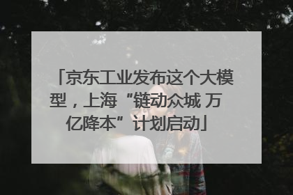 京东工业发布这个大模型，上海“链动众城 万亿降本”计划启动