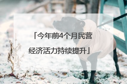 今年前4个月民营经济活力持续提升