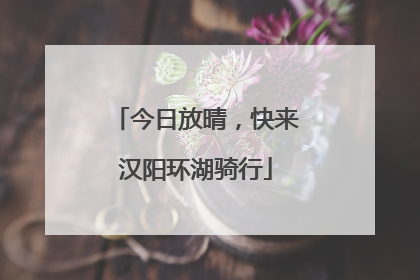 今日放晴，快来汉阳环湖骑行