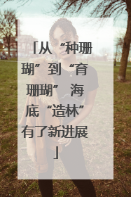 从“种珊瑚”到“育珊瑚” 海底“造林”有了新进展