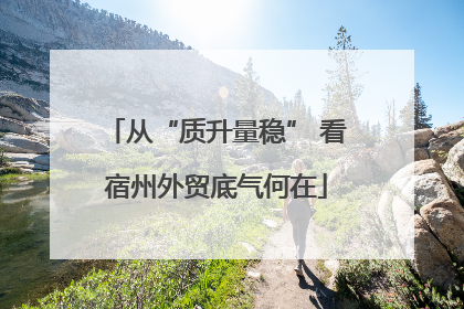从“质升量稳” 看宿州外贸底气何在