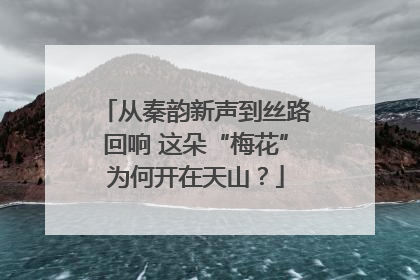 从秦韵新声到丝路回响 这朵“梅花”为何开在天山？