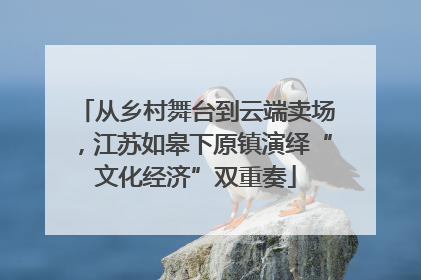 从乡村舞台到云端卖场，江苏如皋下原镇演绎“文化经济”双重奏