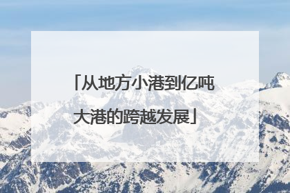 从地方小港到亿吨大港的跨越发展