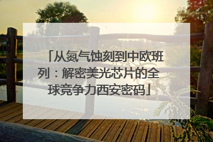 从氮气蚀刻到中欧班列：解密美光芯片的全球竞争力西安密码