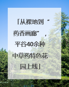 从裸地到“药香画廊”，平谷40余种中草药特色花园上线