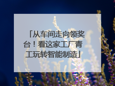 从车间走向领奖台！看这家工厂青工玩转智能制造
