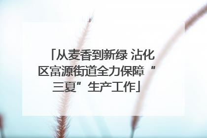 从麦香到新绿 沾化区富源街道全力保障“三夏”生产工作