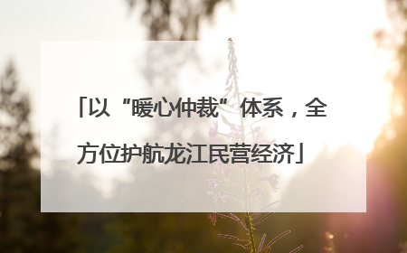 以“暖心仲裁”体系，全方位护航龙江民营经济