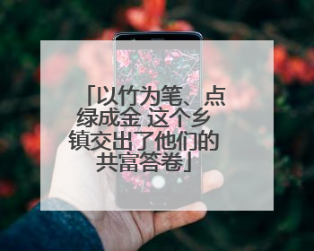 以竹为笔、点绿成金 这个乡镇交出了他们的共富答卷