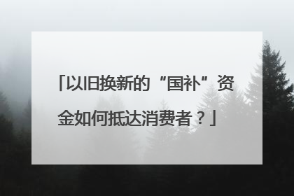 以旧换新的“国补”资金如何抵达消费者？