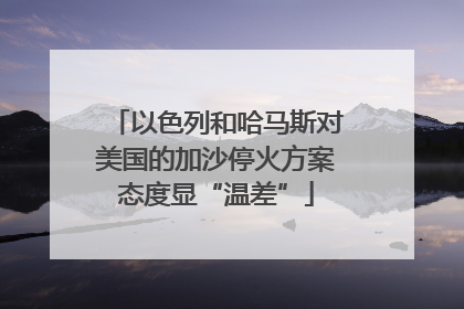 以色列和哈马斯对美国的加沙停火方案态度显“温差”