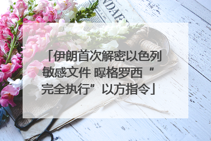 伊朗首次解密以色列敏感文件 曝格罗西“完全执行”以方指令