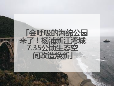 会呼吸的海绵公园来了！杨浦新江湾城7.35公顷生态空间改造焕新