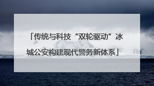 传统与科技“双轮驱动”冰城公安构建现代警务新体系