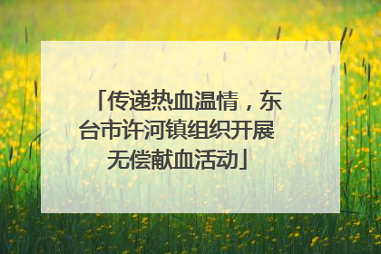 传递热血温情，东台市许河镇组织开展无偿献血活动