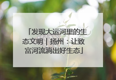 发现大运河里的生态文明｜扬州：让致富河流淌出好生态
