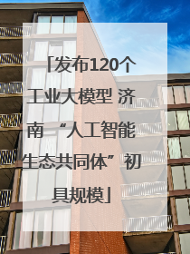 发布120个工业大模型 济南 “人工智能生态共同体”初具规模