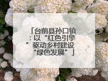 台前县孙口镇：以“红色引擎”驱动乡村建设“绿色发展”