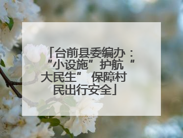 台前县委编办：“小设施”护航“大民生” 保障村民出行安全