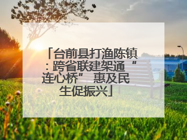 台前县打渔陈镇：跨省联建架通“连心桥” 惠及民生促振兴