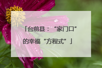 台前县：“家门口”的幸福“方程式”