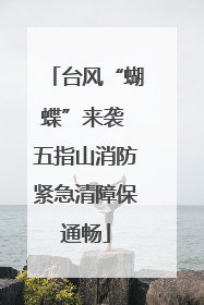 台风“蝴蝶”来袭 五指山消防紧急清障保通畅