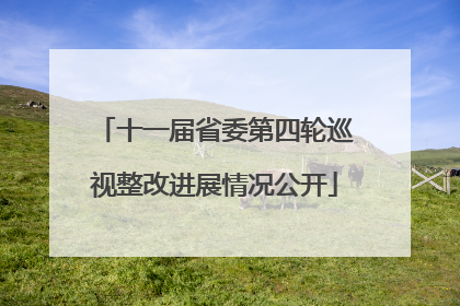 十一届省委第四轮巡视整改进展情况公开