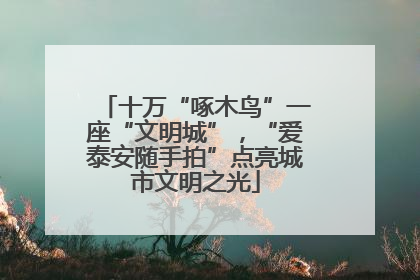 十万“啄木鸟”一座“文明城”，“爱泰安随手拍”点亮城市文明之光