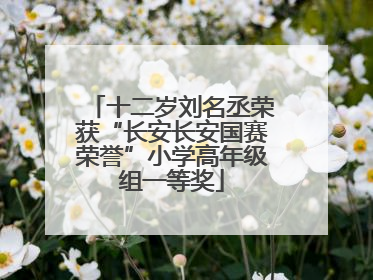 十二岁刘名丞荣获“长安长安国赛荣誉”小学高年级组一等奖