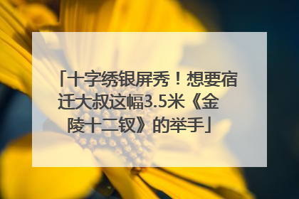 十字绣银屏秀！想要宿迁大叔这幅3.5米《金陵十二钗》的举手