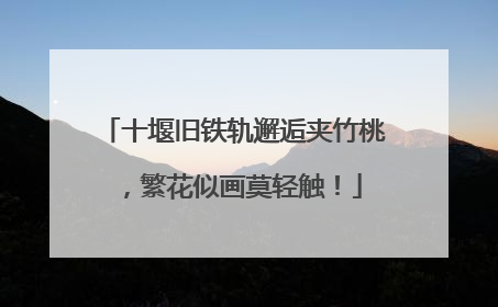 十堰旧铁轨邂逅夹竹桃，繁花似画莫轻触！