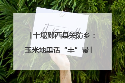 十堰郧西县关防乡：玉米地里话“丰”景