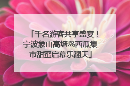 千名游客共享盛宴！宁波象山高塘岛西瓜集市甜蜜启幕乐翻天