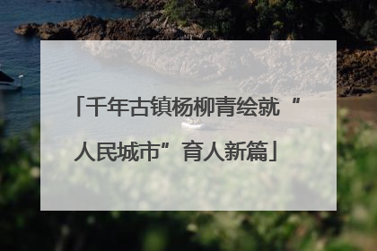 千年古镇杨柳青绘就“人民城市”育人新篇