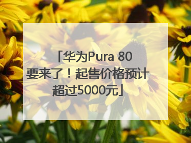 华为Pura 80要来了！起售价格预计超过5000元