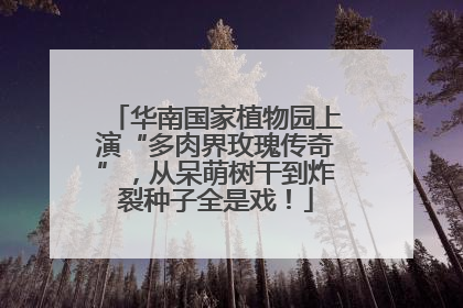华南国家植物园上演“多肉界玫瑰传奇”，从呆萌树干到炸裂种子全是戏！