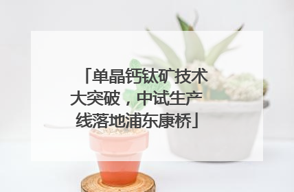 单晶钙钛矿技术大突破，中试生产线落地浦东康桥