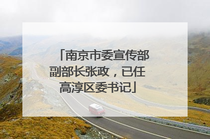 南京市委宣传部副部长张政，已任高淳区委书记