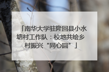 南华大学驻隆回县小水塘村工作队：校地共绘乡村振兴“同心圆”