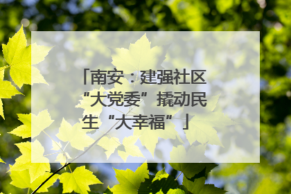 南安：建强社区“大党委”撬动民生“大幸福”