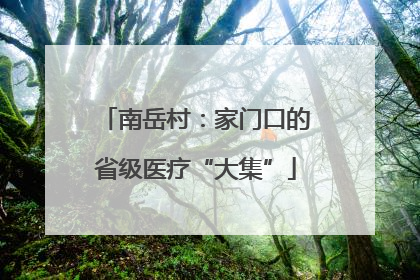 南岳村：家门口的省级医疗“大集”