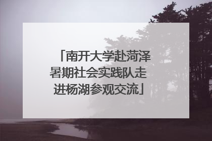 南开大学赴菏泽暑期社会实践队走进杨湖参观交流