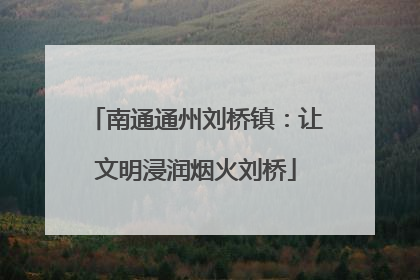 南通通州刘桥镇：让文明浸润烟火刘桥