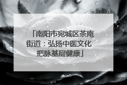 南阳市宛城区茶庵街道：弘扬中医文化 把脉基层健康